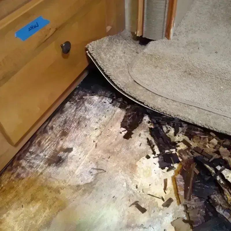 Wood Floor Water Damage in Denver, PA